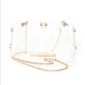Clear Evening Bag